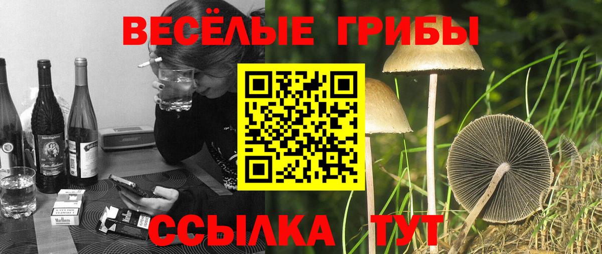 Галлюциногенные грибы ЛСД  Вход с VPN  Сергиев Посад 